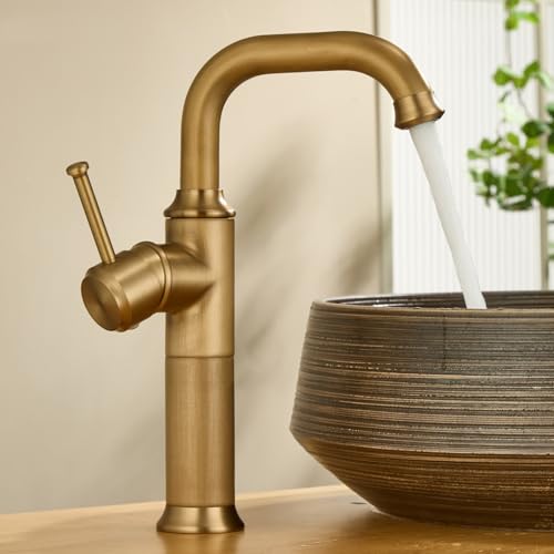 BiaoTeng ʑ ֌  1  VOo[ AeB[N  ␅ ^J  ֌ g