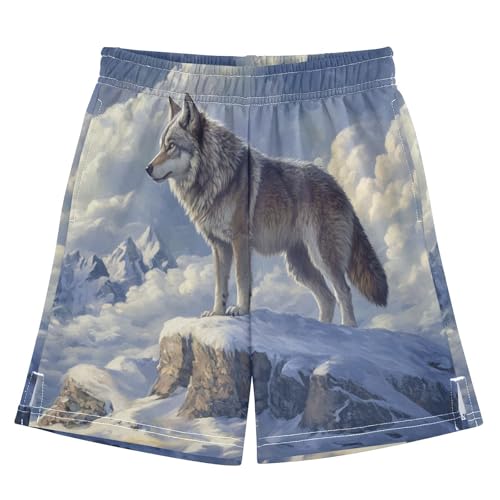 DOMIKING Wolf Snowy Mountain Peak Kids Shorts Pull-on Boys Shorts with Elastic Waist Casual Athletic Pants for Summer Outdoor