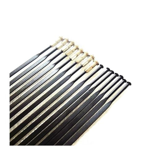 Rayons PSR T302 acier inoxydable straight pull pour montage de roue de précision