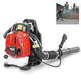 HECHT Benzin Laubbläser/ Laubsauger / Laubsammler – mit kraftvollem 4-Takt Motor – 3 PS (2,2 kW) – 1152 m³/h Luftleistung – Befreien Sie Ihren Garten komfortabel, kabellos schnell von Laub und Unrat