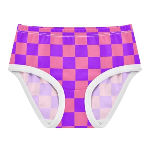 Purple and Pink Buffalo Checkered Toddler Girls's Underwear 2T