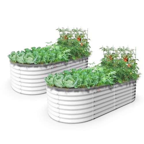 A ANLEOLIFE 6X3X2 ft Galvanized Raised Garden Beds Outdoor-2 Pack, Oval Large Metal Deep Root Planter Box for Planting Vegetables Flowers Herb, Anti-Rust & Easy-Setup, Antique White