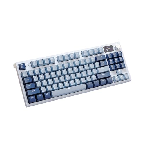 2.4GJjJL[{[hAKXPbg}EgRGBCAEgA14.96x5.91x1.38inCXC[hBT 5.0[hAzbgXbv\ȃXCb`Az[ZbgAbvpLCDfBXvC@\AItBXfXNA