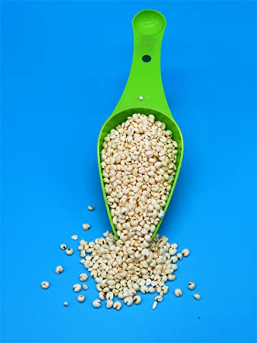 Goldhirse gepufft gepoppt BIO I ungesüßt I Glutenfrei I Pseudogetreide I Ballaststoffe I Ohne Zusätze (1000g)