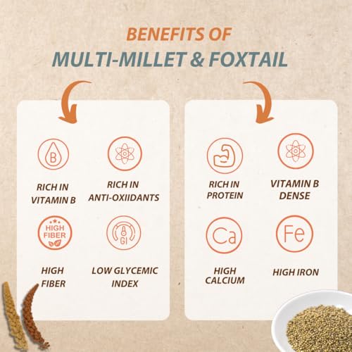 Image of Wisdom Roots Healthy & Junk Free Millet Noodles & Pasta Pack | Pack of 4 | No Maida, Not Fried, No MSG | Sun-Dried | Protein, Vitamin B, Antioxidants & Fiber | 1.13 Kg