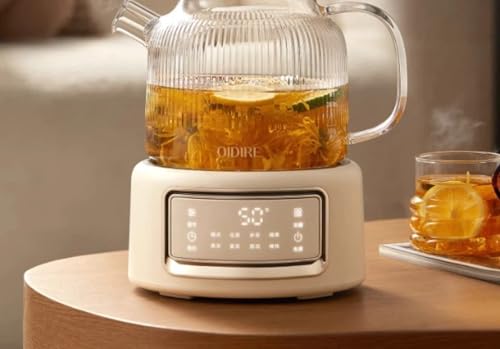 Tetera eléctrica de vidrio 1 litro con control microcomputarizado miniatura 5