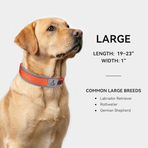 Image of Joytale Dog Collar for Large Dogs, Neoprene Padded and Adjustable, Reflective Wide Heavy Duty Pet Collars with Durable Metal Belt Buckle for Walking, Orange, L