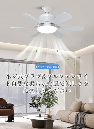 Vailaipupy シーリングファン の商品画像 1