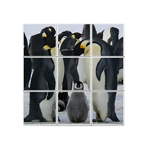 Carreaux céramique décoratifs pingouins 32x32 cm pour fresque murale