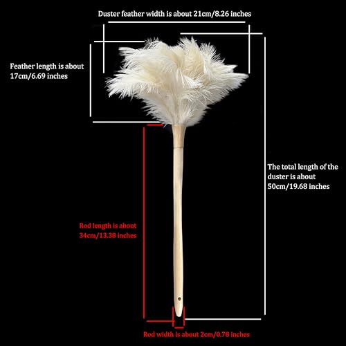 Image of 19.7 Inch Ostrich Feather Duster - Soft Dusting Brush for Home, Office, and Furniture Cleaning (Off White)