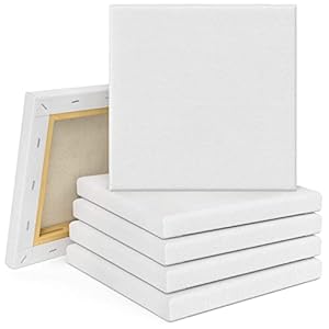 Tebery 10er Set Leinwand Keilrahmen 20x20cm