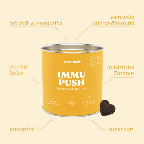 14-in-1 Immunsystem Leckerli für Hunde - Immu Push 30 Snacks (110g) von mammaly - Stärkt Abwehrkräfte mit Hagebutte, Granatapfel, Ashwagandha, Bierhefe, Zink - Reich an Antioxidantien, Vitamin A, C, K