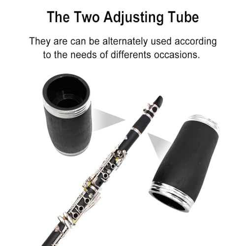 WUQIMUSC Professioneller Klarinettenkörper aus Palisanderholz, versilbert, Schlüssel B-Tasten 17 Bb Schlüssel, zwei Fässer, Hartschalenkoffer, weiße Handschuhe (Palisander) (Ebonite material)