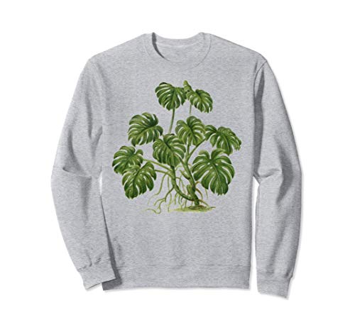 Plante d'intérieur Jardin botanique Monstera Deliciosa Sweatshirt