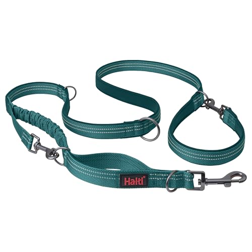 Image of Halti Anatomy Multifunctional Dog Leash | Size Large, Teal | Shock Absorbing Double-Ended Leash, Ideal for Puppy and Dog Walking & Training. Comfortable to Hold, Reflective & Lightweight