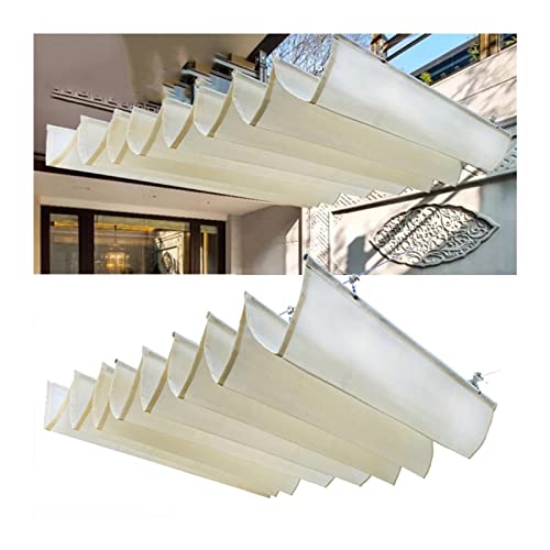 Celosias para Jardín Extensible Marca Generic