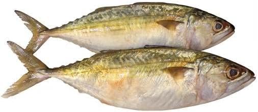 Fresh Mackerel Fish Medium Whole Cleaned 500 g Approx.