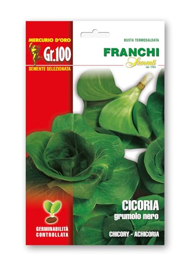 Semente di Cicoria Grumolo nero confezionata in busta grande da 100 grammi