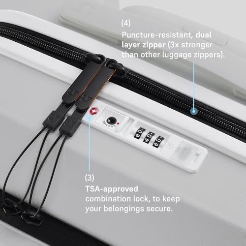 Image of Urban Jungle by Safari, Cabin Trolley Bag with Laptop Compartment, Hardside Polycarbonate Small (55 Cm) Suitcase with USB Charging Socket, 8 Silent Wheel Luggage for Both Men & Women (Frost White)