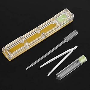 Acryl Formicarium, Mierenkweekdoos Stevig en duurzaam voor thuis(Geel nest)