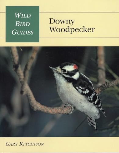 Wild Bird Guide: Downy Woodpecker (Wild Bird Guides)