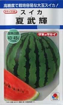 スイカ種さん Amazon | タキイ種苗 スイカ夏武輝(かぶき) タキイ交配野菜種春