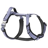 PawsPassion Dog Harness for Small Dogs, No Pull Dog Harness Easy Walk with Metal Hardware, Ergonomic Y-Shaped Design, Soft Padding, Padded Handle, Durable High-Tensile Nylon (Lilac Breeze, S)