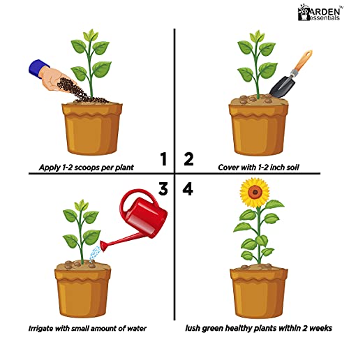 Image of Rose Bliss Fertilizer for Rose Plants | Bloom Booster for Flowering & Growth | Promotes Healthy Roots & More Flowers (1Kg)