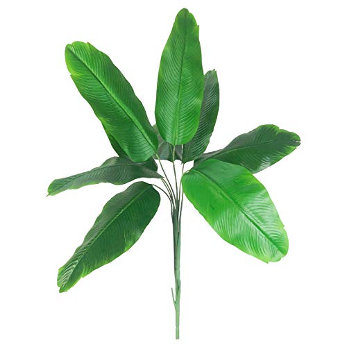 Hojas De Parra Lidl Me pica la curiosidad