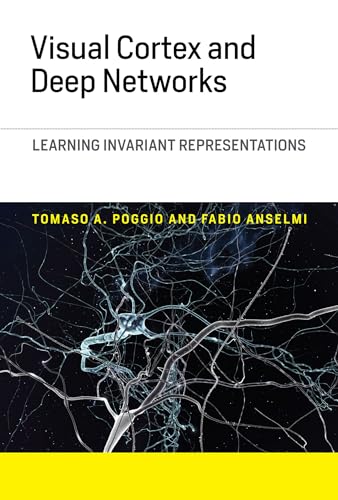 Visual Cortex and Deep Networks: Learning Invariant Representations (Computational Neuroscience Series) view 2