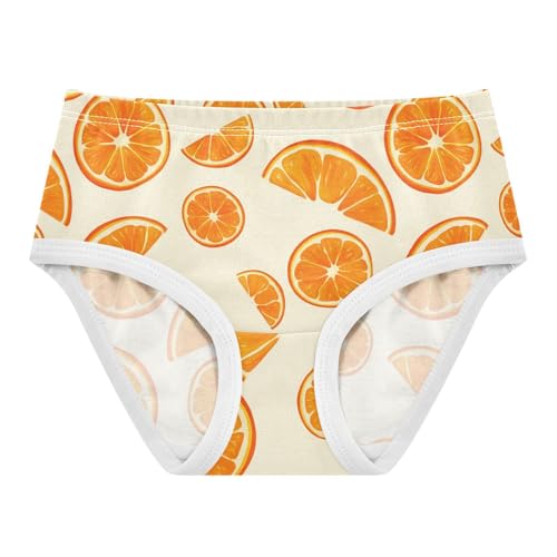 Fruit Orange Yellow Toddler Girls's Underwear 2T 2302910