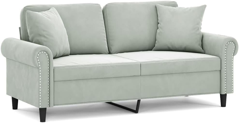 2-Seater Sofa Light Grey Velvet (100% Polyester) Living Room Furniture