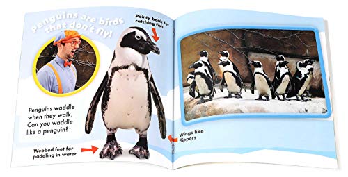 Blippi: Let's See Animals! (8x8)