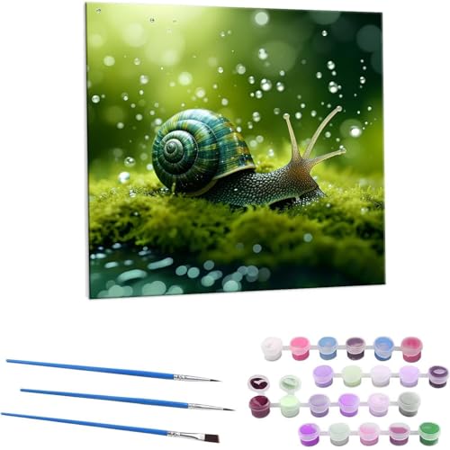 J^c G Paint by Numbers hG Lbg l ʂ肦 lphGLoXNtg  LoXA[g uVƃANG̋, ItBX CeA rO, ւ̃Mtg 45x45cm (t