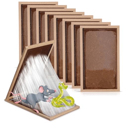 Qualirey ^}EXO[gbv 8pbN ϋvؐlY~gbv Xl[NS{[h &Op ts[ibc Ő vȖؐgC ybgɈS