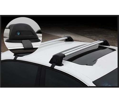 Barres de Toit Résistantes Odyssey RB3 RB4 pour Manque d'Espace