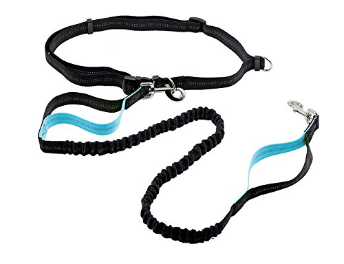 Guinzaglio Obliquo Riflettente Per Cani Con Targhetta - Design A Mani Libere, Nylon, 240 Cm, Ideale Per Corse E Passeggiate Notturne - Foto 6