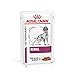 Hund und günstig Kaufen-Royal Canin Veterinary Renal | 12 x 100 g | Diät-Alleinfuttermittel für ausgewachsene Hunde | Zur Unterstützung der Nierenfunktion | Mit schmackhaften Stückchen in Soße