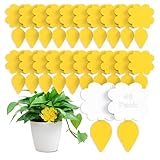 COMPOLICY 46 pegatinas amarillas para combatir mosquitos luto, placas amarillas altamente efectivas para el control de plagas y proteger las plantas de interior, no tóxicas y respetuosas con el medio