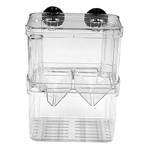 Visteelt Box Aquarium Incubator Fry Broederij Isolation Box Fish Parenting Container Divider Met Zuignappen Dubbele…