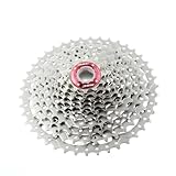 MSC Bikes