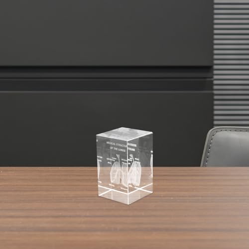Modèle anatomique cube cristal pour comprendre l'anatomie - 5