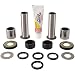 Pivot Works PWSAK-S17-400 Swing Arm Kit