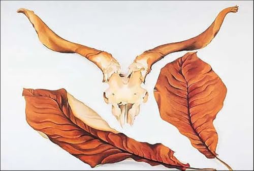 Affiche de Georgia O’Keeffe Crâne de mouton toile salon 70x50cm