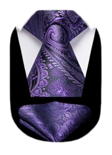 Image of HISDERN Ties for Men Paisley Tie and Pocket Square Woven Classic Floral Mens Ties Handkerchief Set Wedding Party Necktie