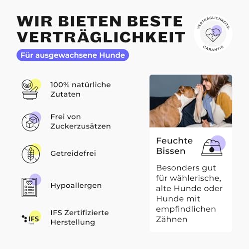 HEY HOLY Premium Nassfutter für Bulldoggen | 6X 375g Hundefutter für ausgewachsene Bulldoggen mit Lachs | Hochverträglich aus natürlichen Zutaten