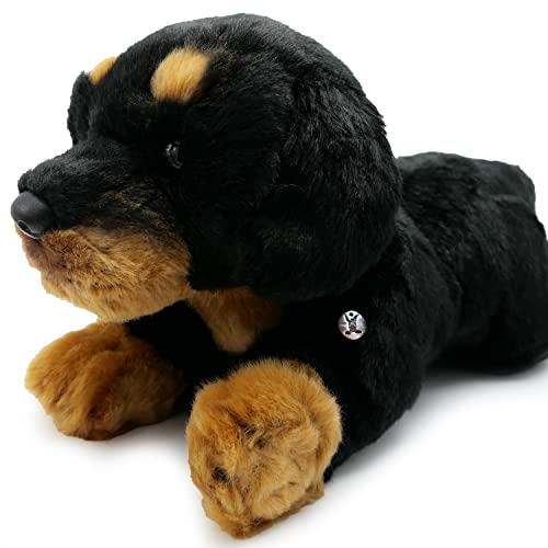 Grottenolm Kuscheltier Weiß, 34 Cm – Naturgetreues Plüschtier Proteus, Mit Recycling-Füllung