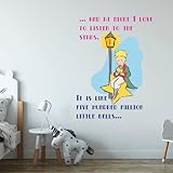 The Little Prince Quote Kids Wall Decor | EGD X The Little Prince Series | Wall Decals | Wall Decal for Baby Girl & Boy | The Little Prince Gifts | Multiple Sizes Options (Wide 20'x 27' Height)