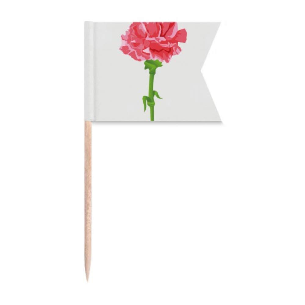 Plaque de fromage avec cure-dent et feuilles de fleur d'oeillet pour vos gâteaux