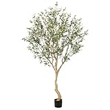 Realead 7FT Olive Trees Artificial Indoor - Tall Faux Olive Tree 7 Feet with Realistic Leaves and Natural Wood Trunk - Potted Fake Olive Tree for Modern Home Office Living Room Floor Decor Indoor